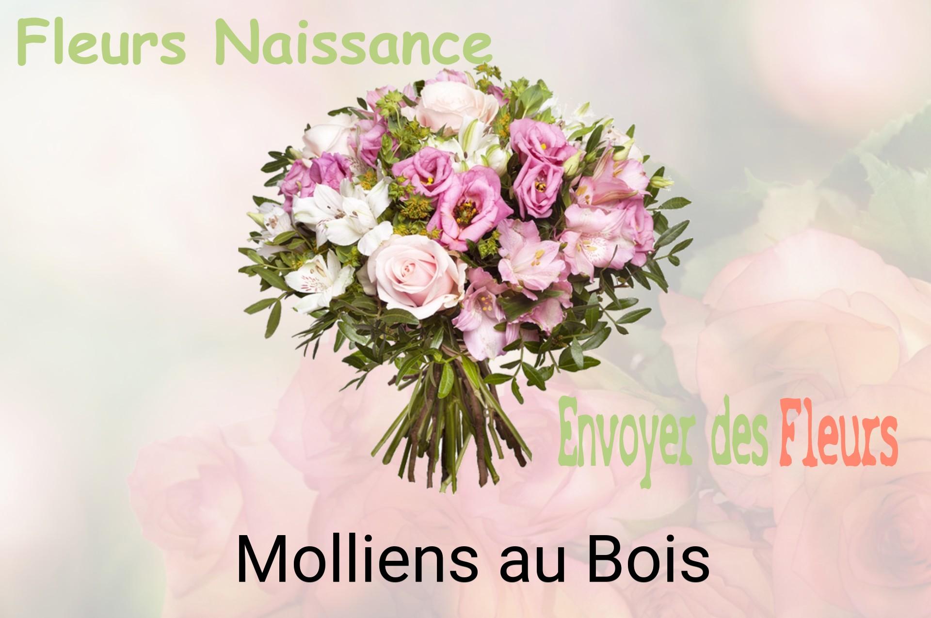 Bouquet de fleurs de naissance livré à Molliens-au-Bois