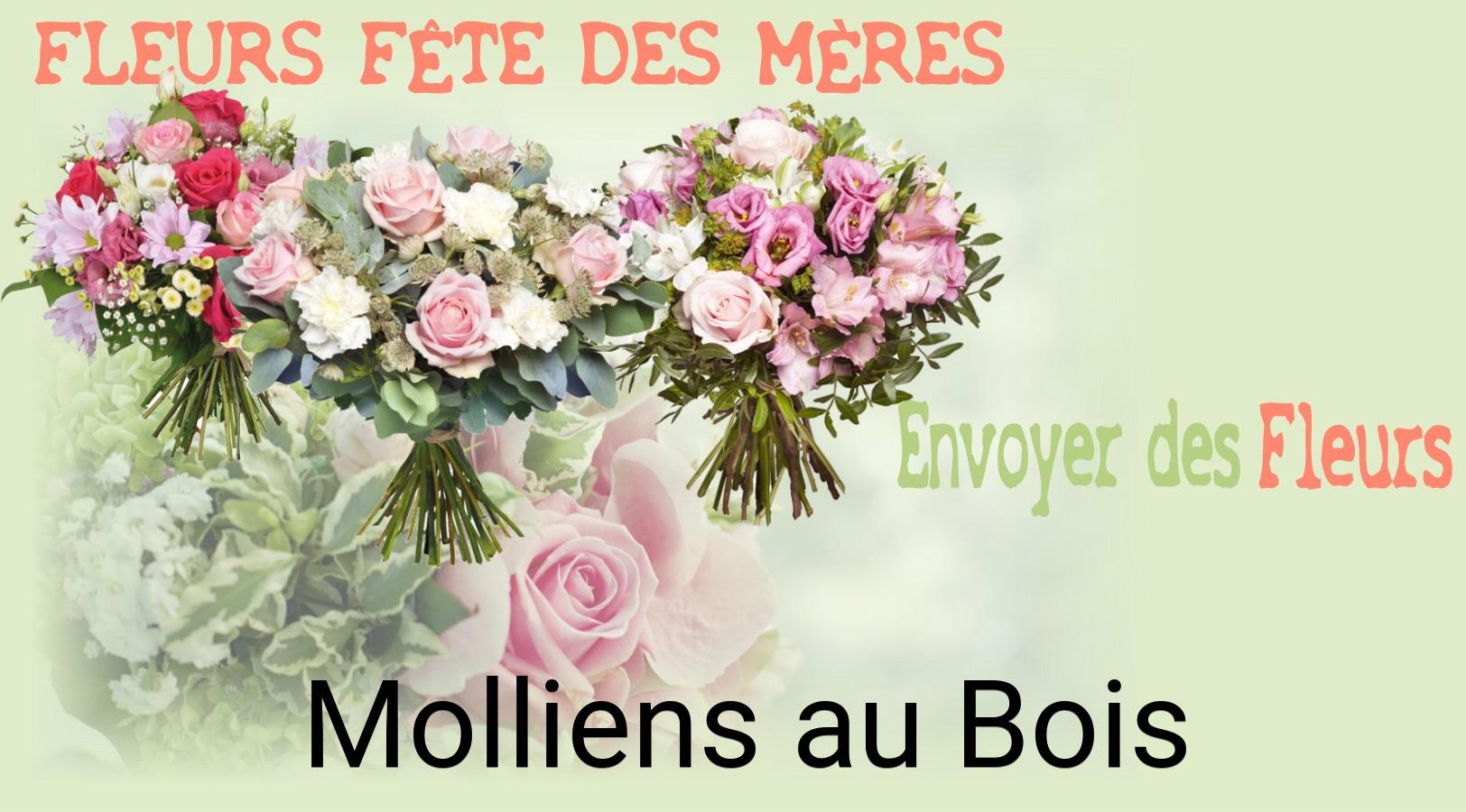 Bouquet de Fête des Mères livré à Molliens-au-Bois